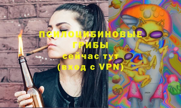 ПСИЛОЦИБИНОВЫЕ ГРИБЫ Пестово