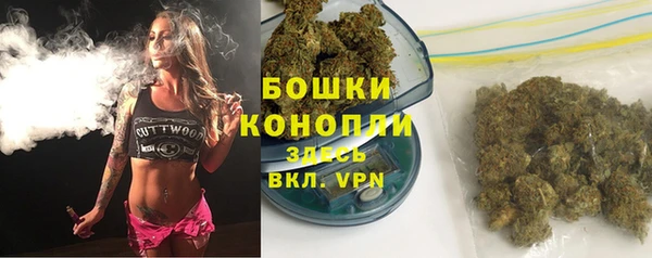 ПСИЛОЦИБИНОВЫЕ ГРИБЫ Пестово