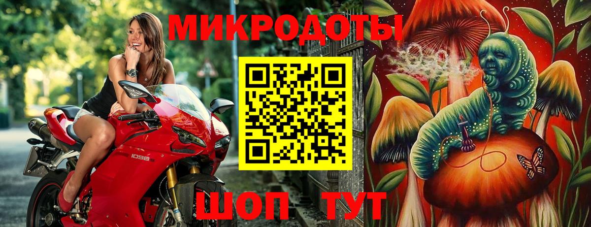 Псилоцибиновые грибы Psilocybine cubensis Майкоп