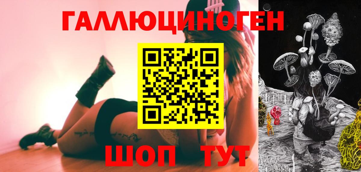 Псилоцибиновые грибы Psilocybe Майкоп