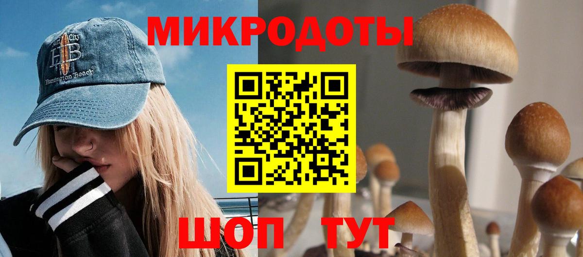 Псилоцибиновые грибы MAGIC MUSHROOMS  Вход с VPN  Галлюциногенные грибы мухоморы  купить   Майкоп 