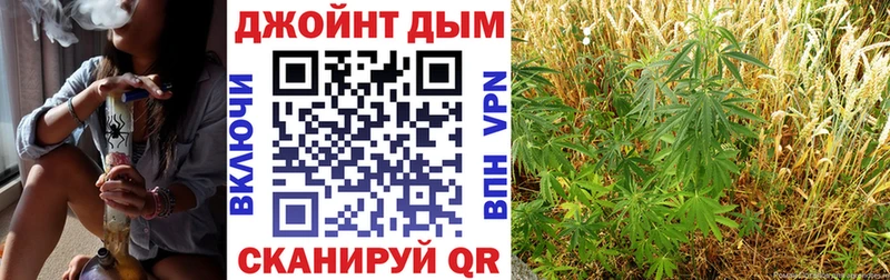 МАРИХУАНА конопля Майкоп